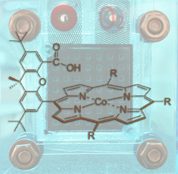 Cobalt porphyrin catalyst