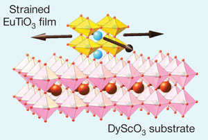 Multiferroic material