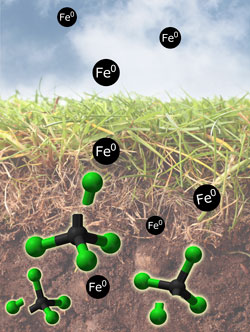 Iron microparticles 