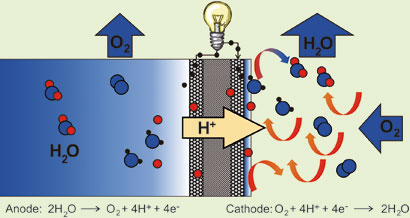 Fuel cell 