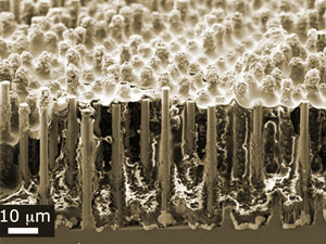 Microwire-array solar cell 