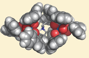 Carboxylic acid ligands around uranium