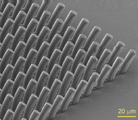 Tilted micropillar array