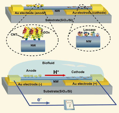 Nanowire based biofuel cell