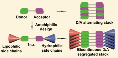 Side chain incompatibility 